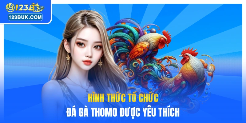 4 hình thức tổ chức đá gà Thomo được yêu thích