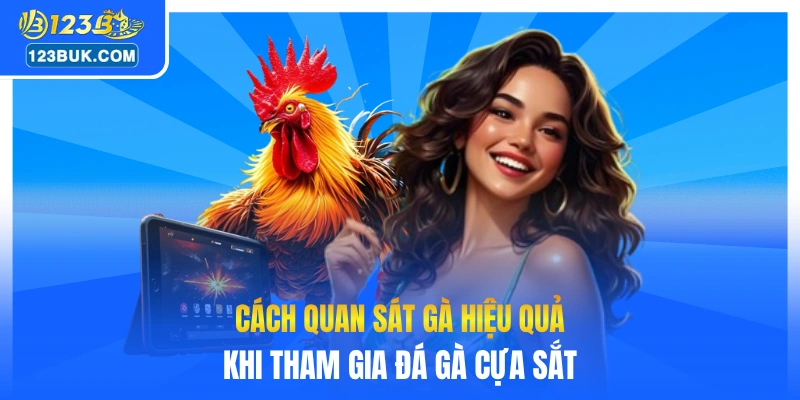 Cách quan sát gà hiệu quả khi tham gia đá gà cựa sắt