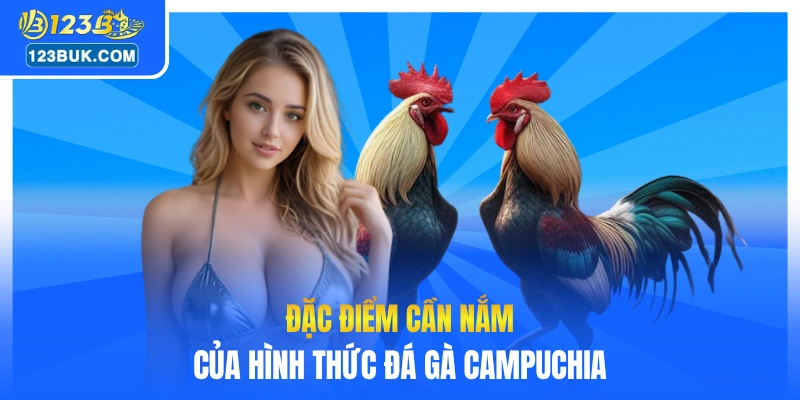 Đặc điểm cần nắm của hình thức đá gà Campuchia