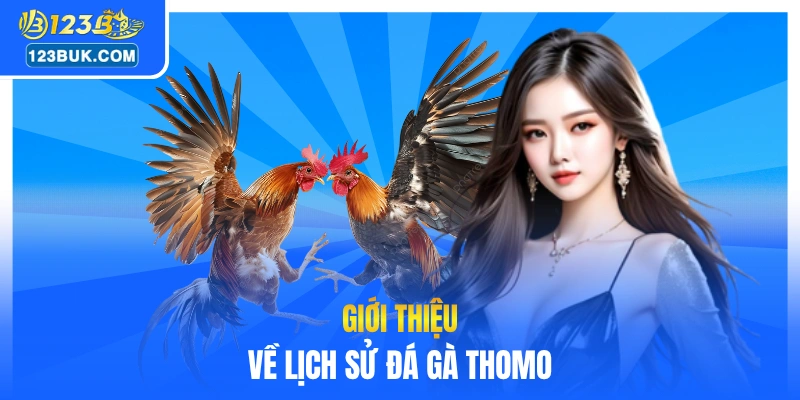 Giới thiệu về lịch sử đá gà Thomo