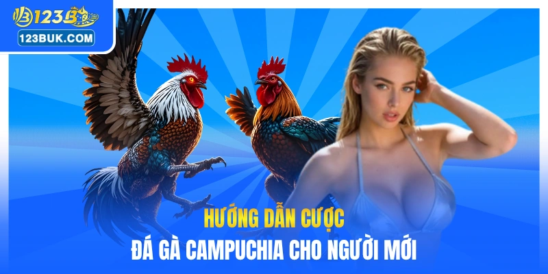 Hướng dẫn cược đá gà Campuchia cho người mới