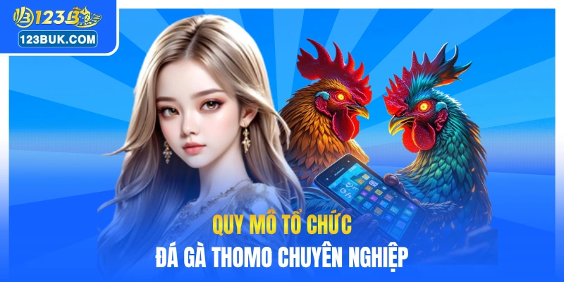 Quy mô tổ chức đá gà Thomo chuyên nghiệp