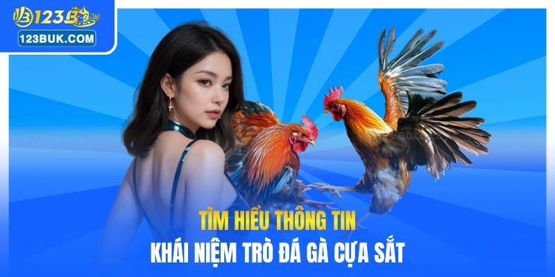 Tìm hiểu thông tin khái niệm trò đá gà cựa sắt